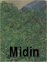 05midin.jpg